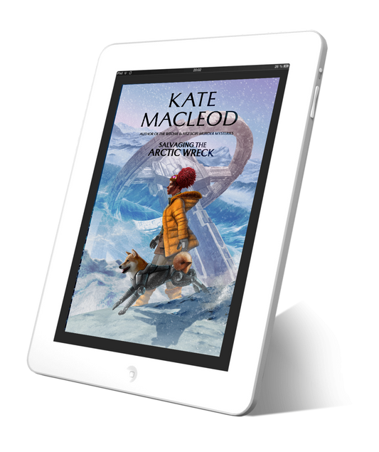 Cover of the YA scifi ebook Salvaging the Arctic Wreck. A young girl with her hair in red-tipped fun buns is trekking through the snow with her half-robot dog at her side. Behind her a spaceship is half-frozen inside its crash crater.