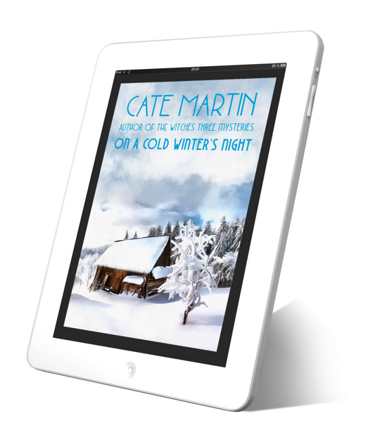 On a Cold Winter's Night (EBOOK SHORT STORY)