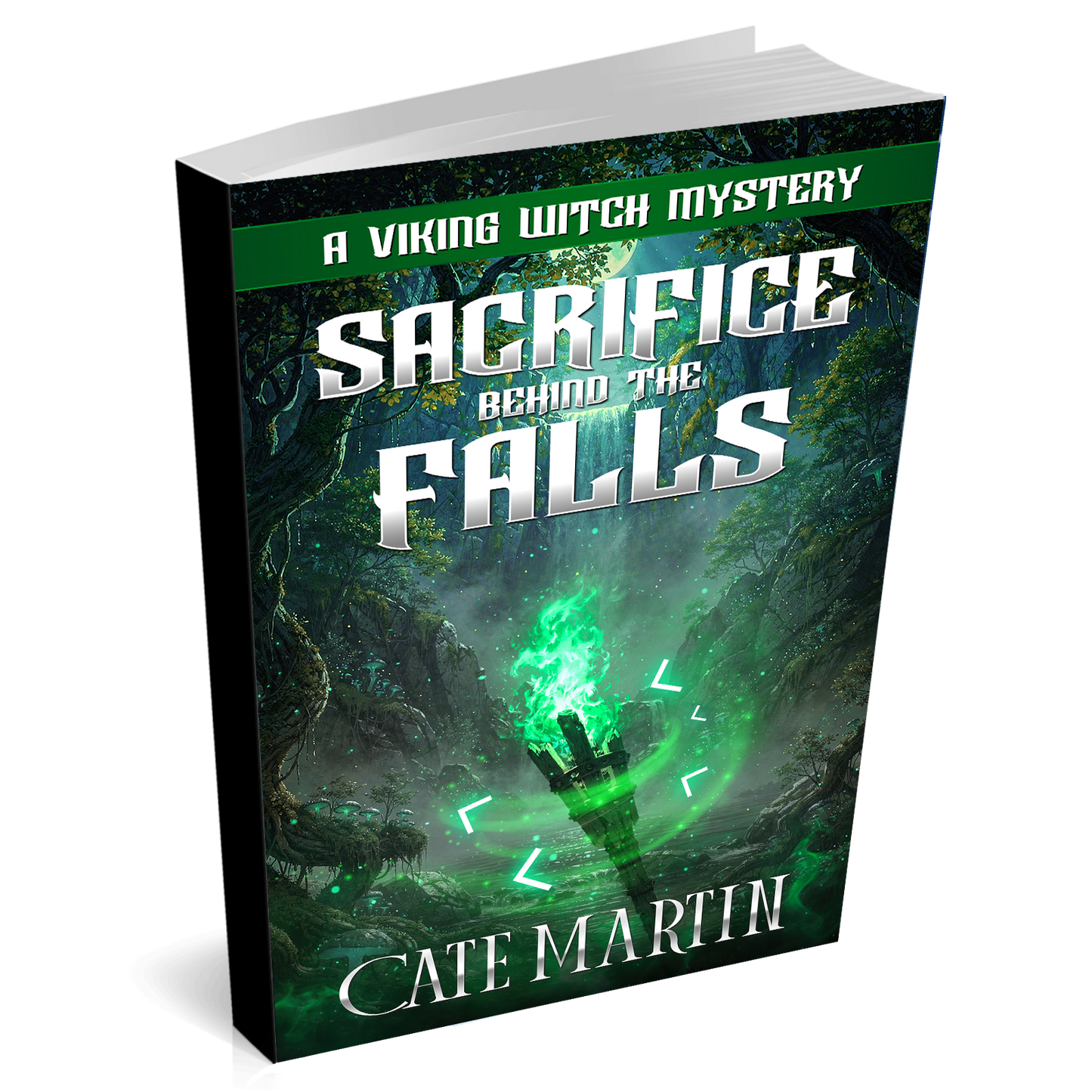 Book titled 'Sacrifice Behind the Falls' by Cate Martin with a Viking theme on a white background