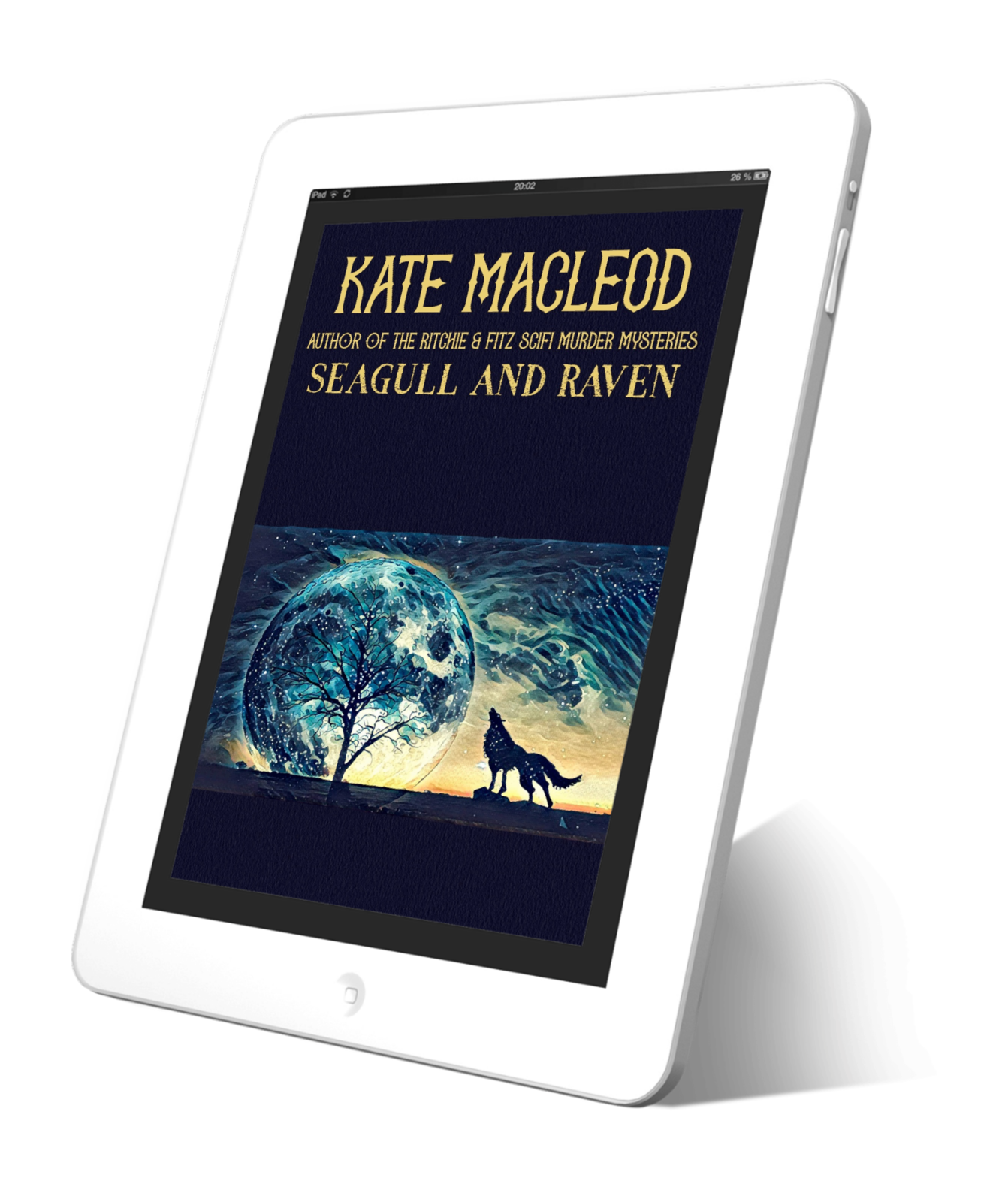 Book cover Seagull and Raven Inuit short story