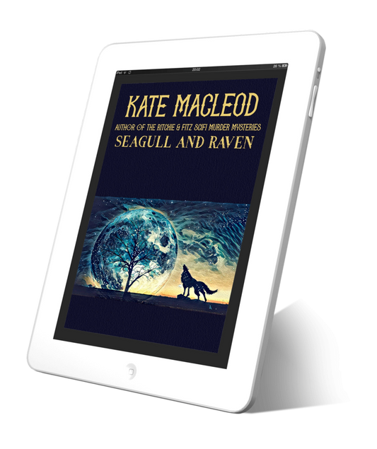 Book cover Seagull and Raven Inuit short story