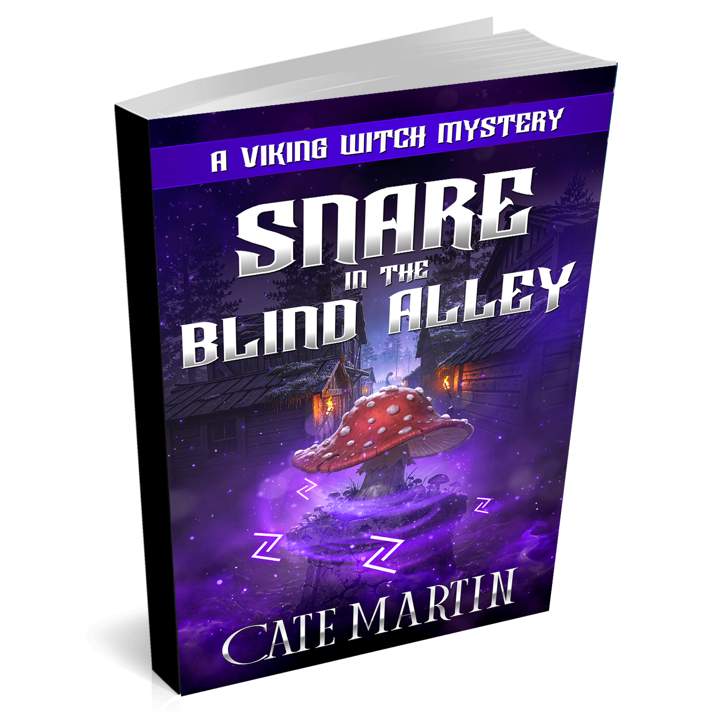 Book cover of 'Snare in the Blind Alley' by Cate Martin on a white background