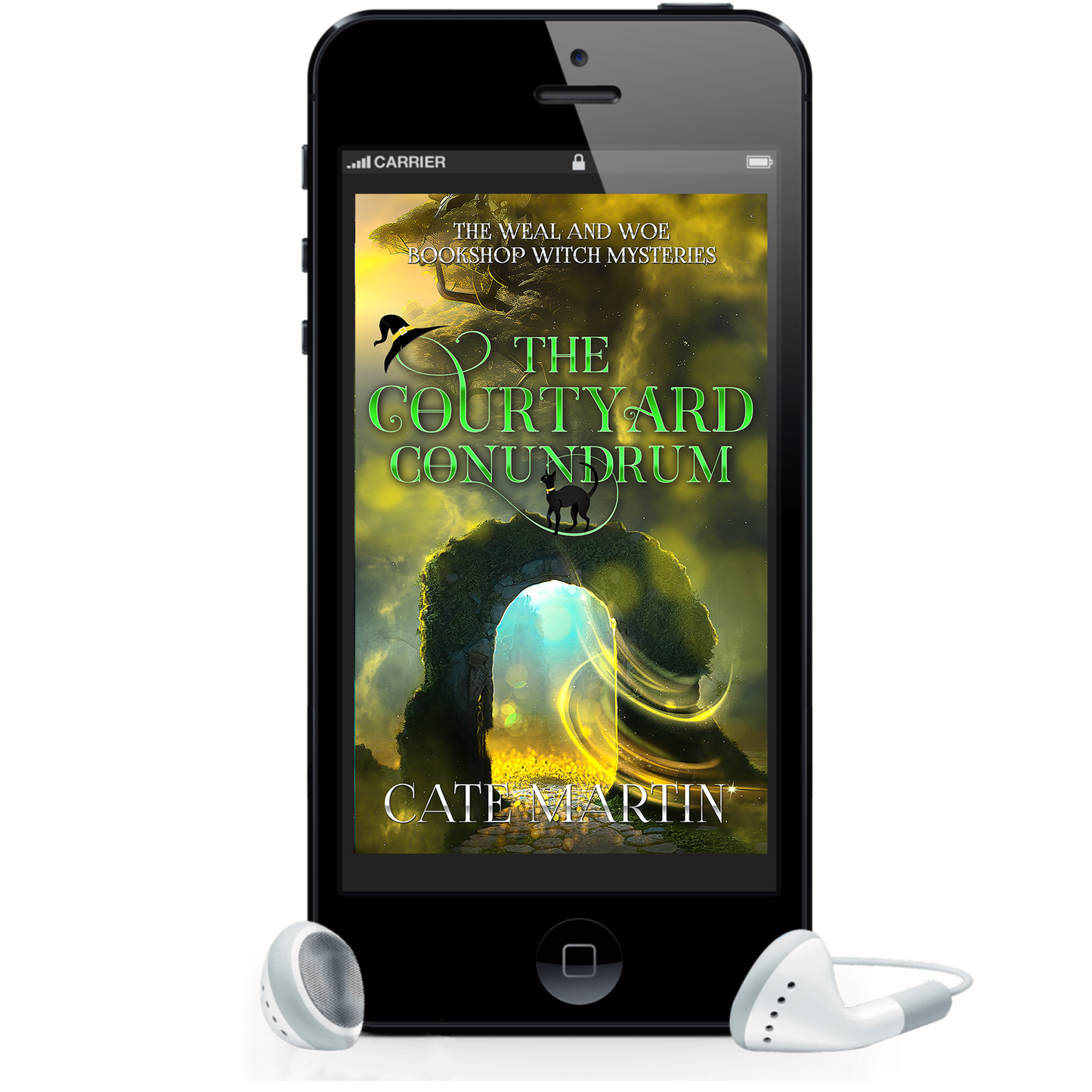 The Courtyard Conundrum (AUDIOBOOK)