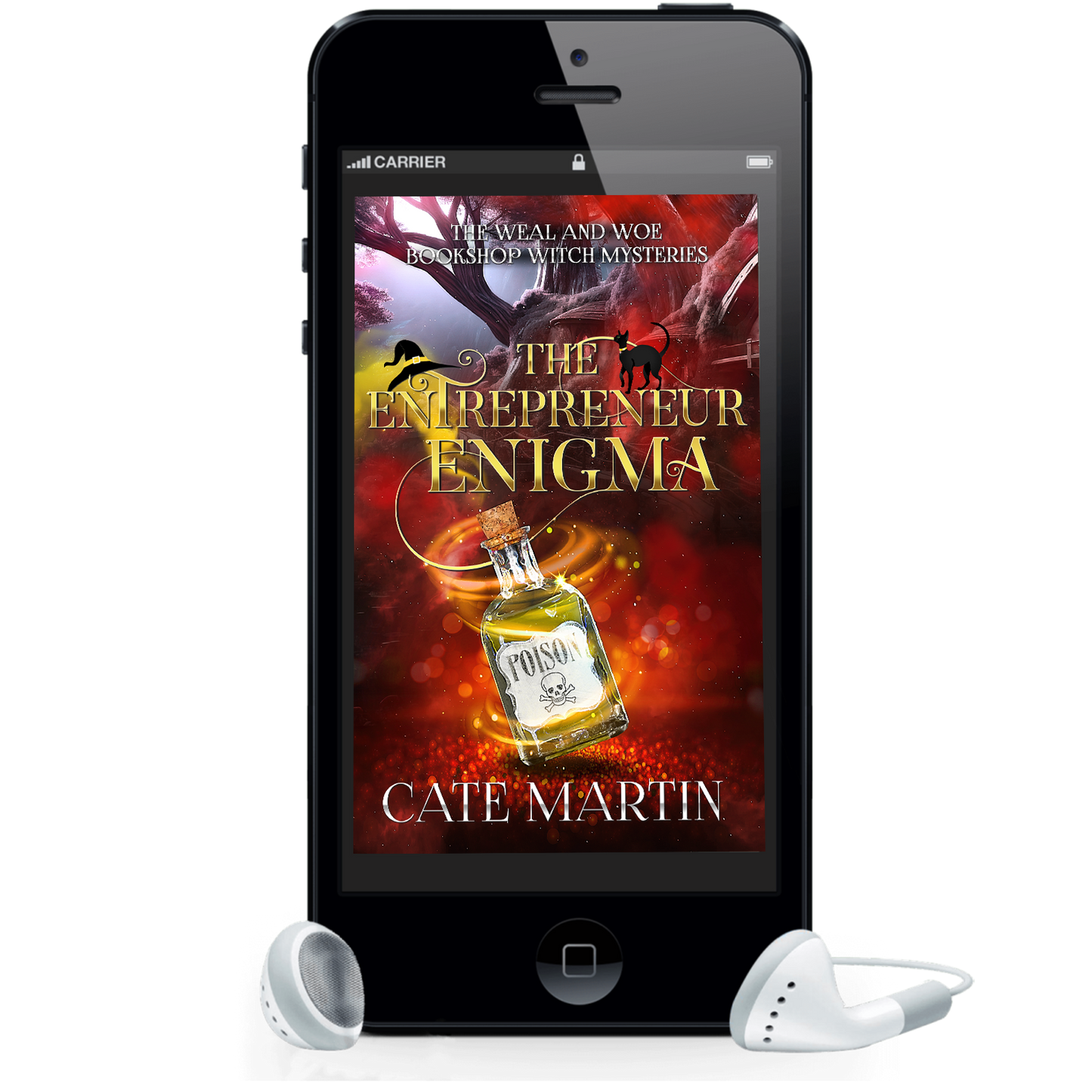 The Entrepreneur Engima (AUDIOBOOK)