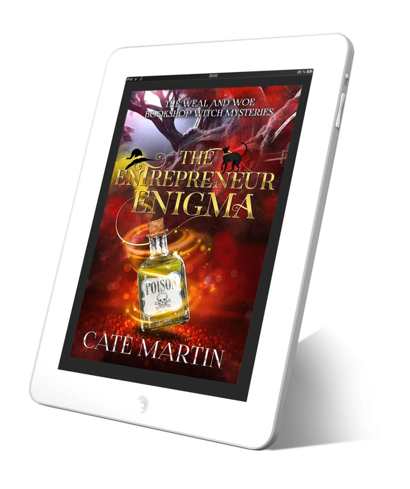 Book cover for the ebook The Entrepreneur Enigma, Book 4 in the Weal & Woe Witch Mysteries.