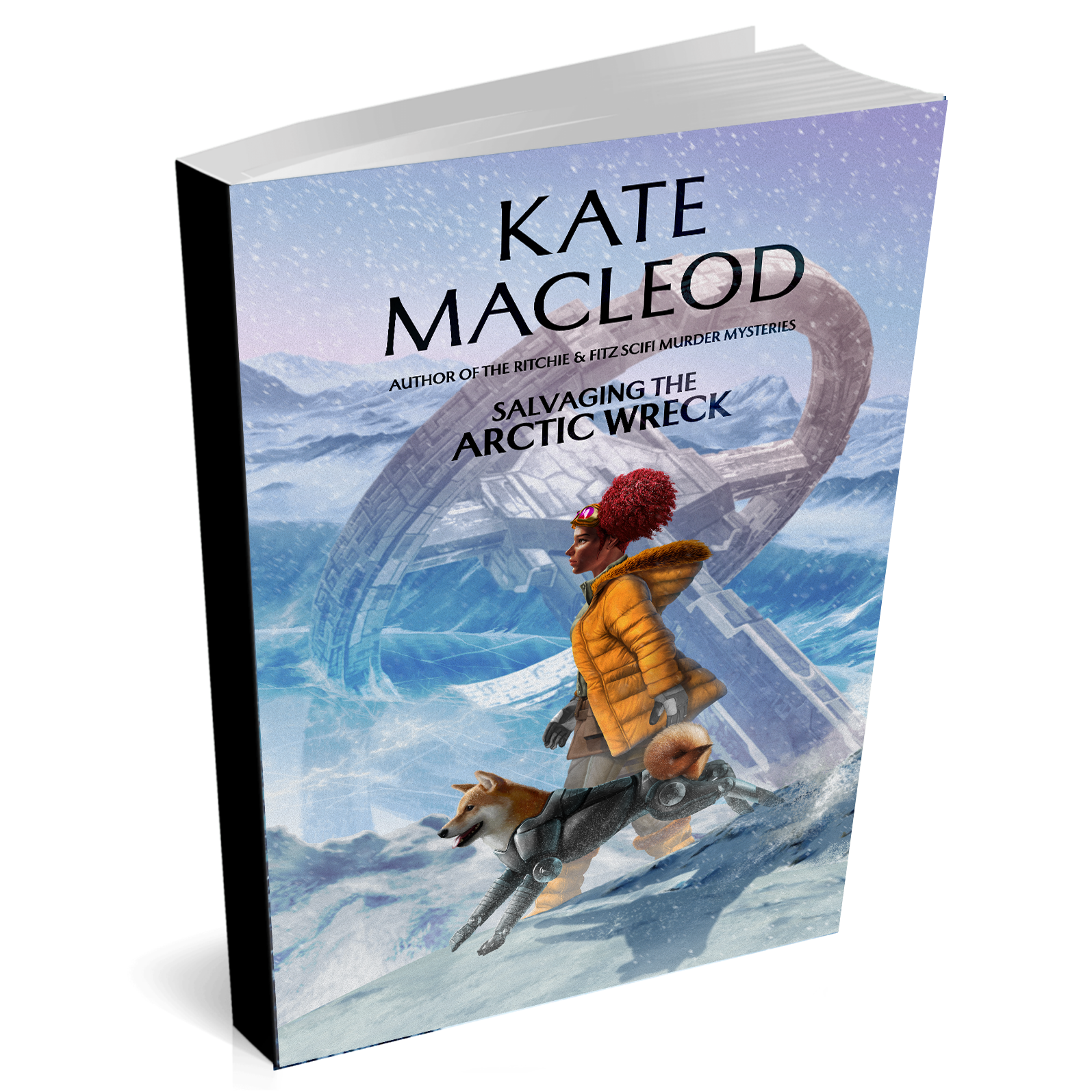 Book cover of 'Salvaging the Arctic Wreck' by Kate Macleod with a person in a yellow coat and dog in a snowy landscape.