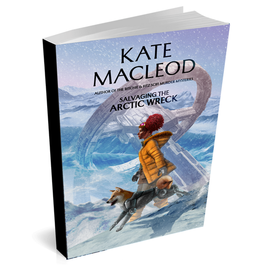 Book cover of 'Salvaging the Arctic Wreck' by Kate Macleod with a person in a yellow coat and dog in a snowy landscape.