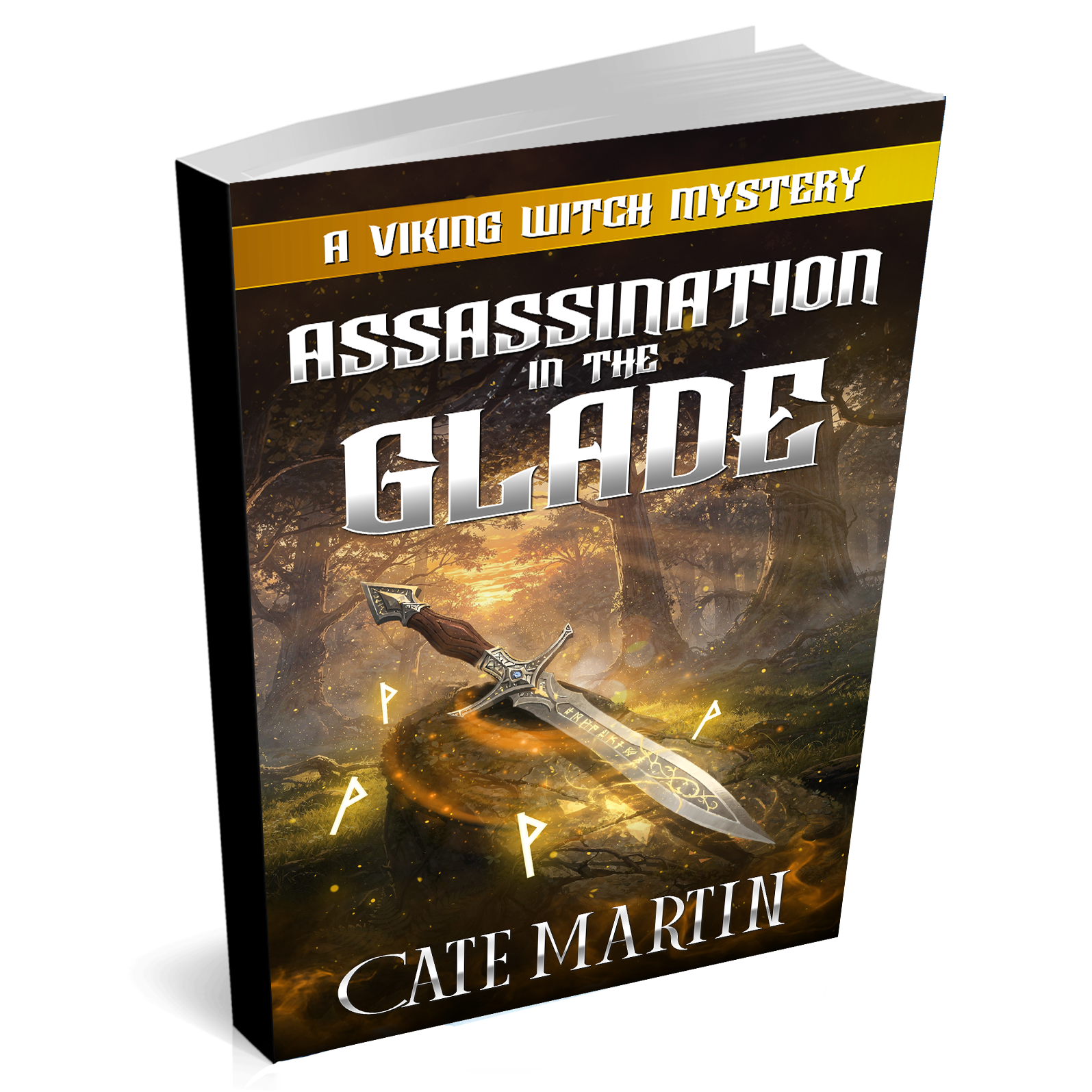 Book cover of 'Assassination in the Blade' by Cate Martin on a white background