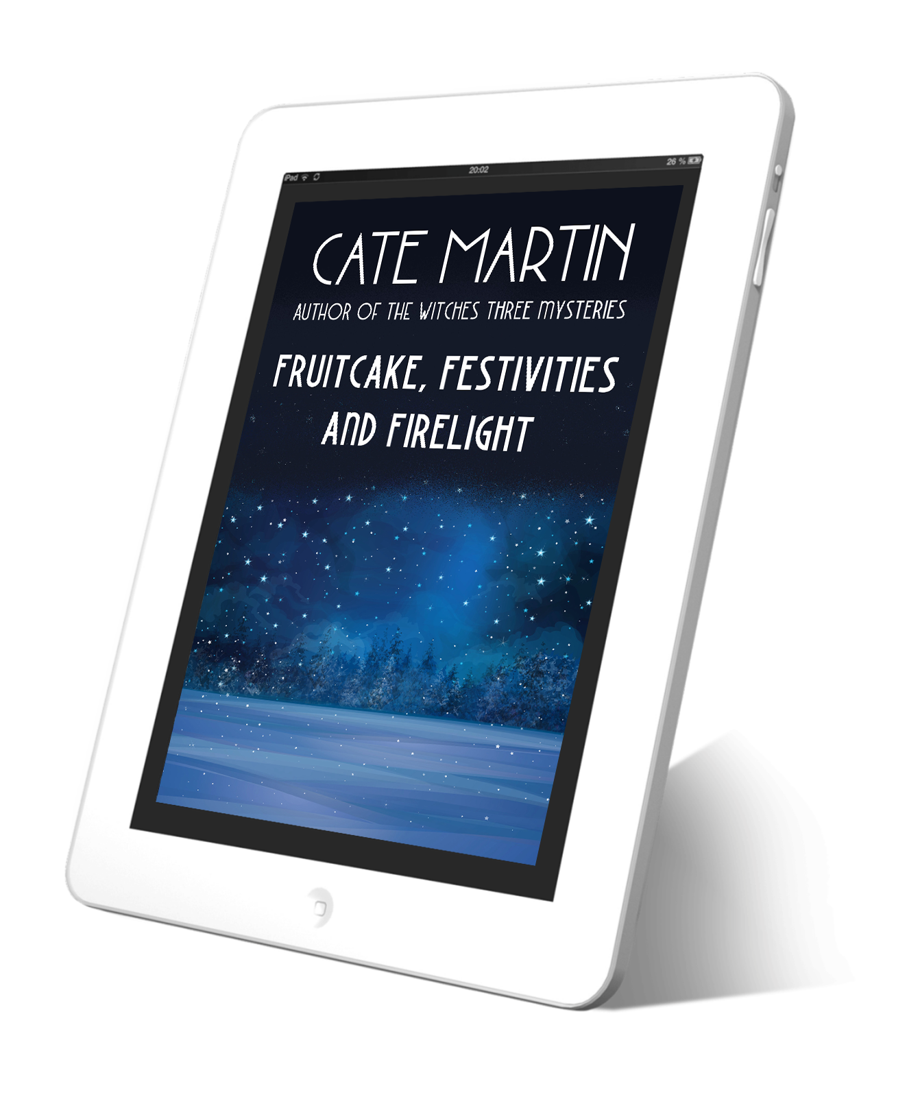 Fruitcake, Festivities and Firelight (EBOOK)