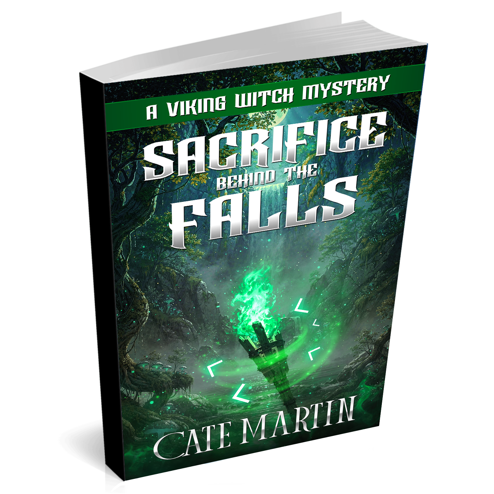 Book titled 'Sacrifice Behind the Falls' by Cate Martin with a Viking theme on a white background