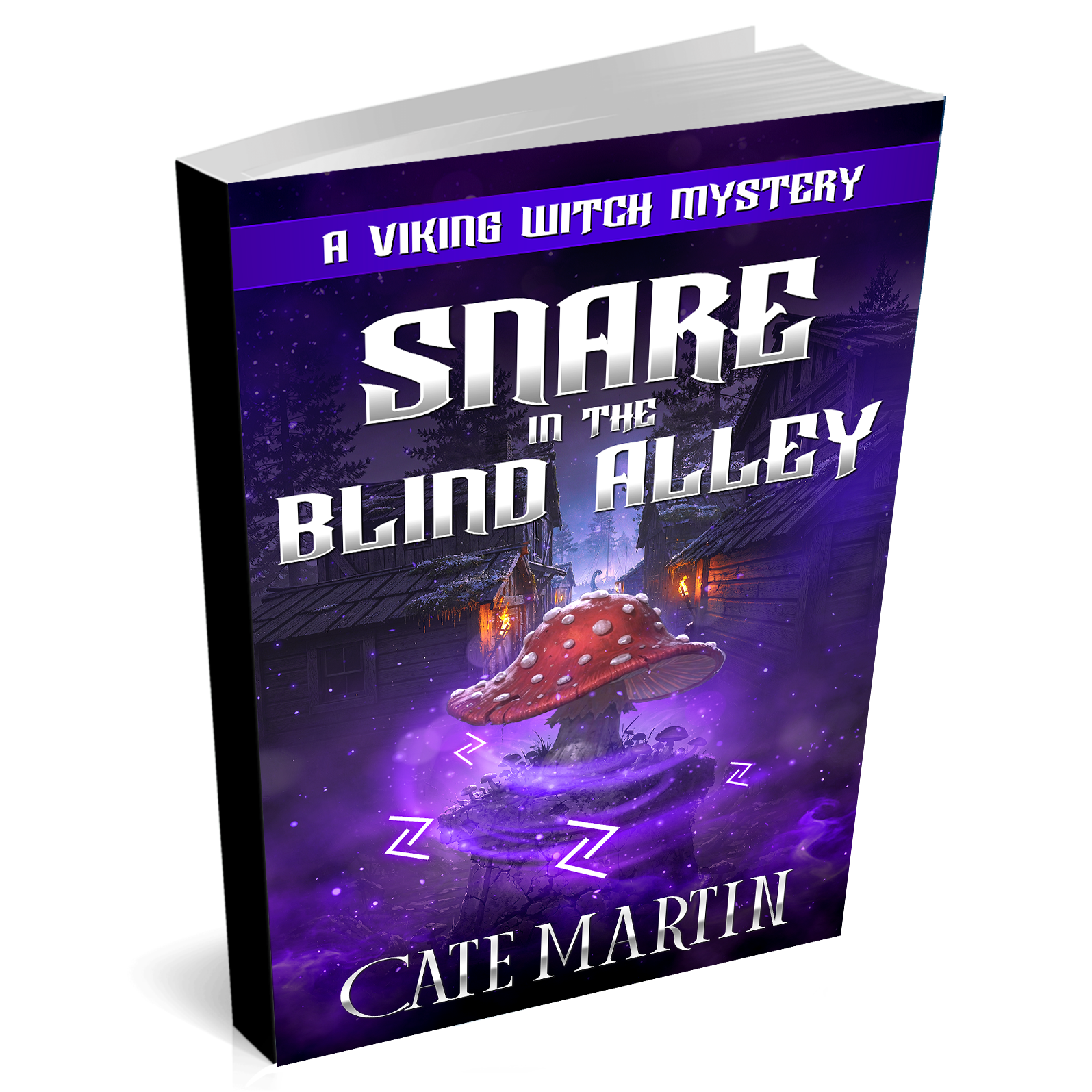 Book cover of 'Snare in the Blind Alley' by Cate Martin on a white background