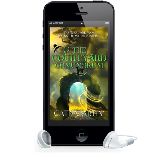 The Courtyard Conundrum (AUDIOBOOK)